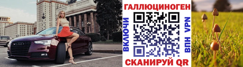 Галлюциногенные грибы Psilocybine cubensis  Купить закладки  Котовск 